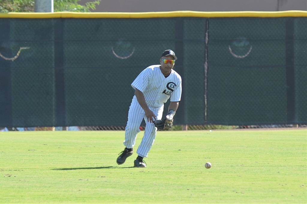 Seals_2019-10-09 (364).JPG - (c)2010 DeVetter